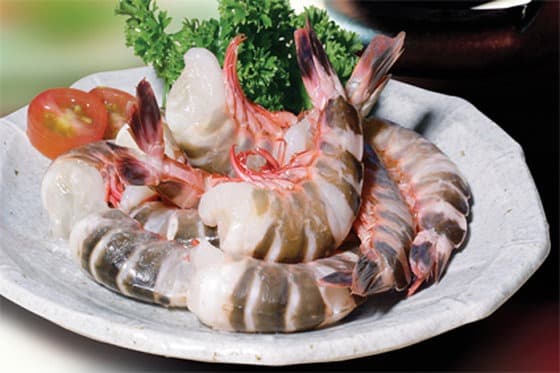 Photo of Cat Tiger Shrimp