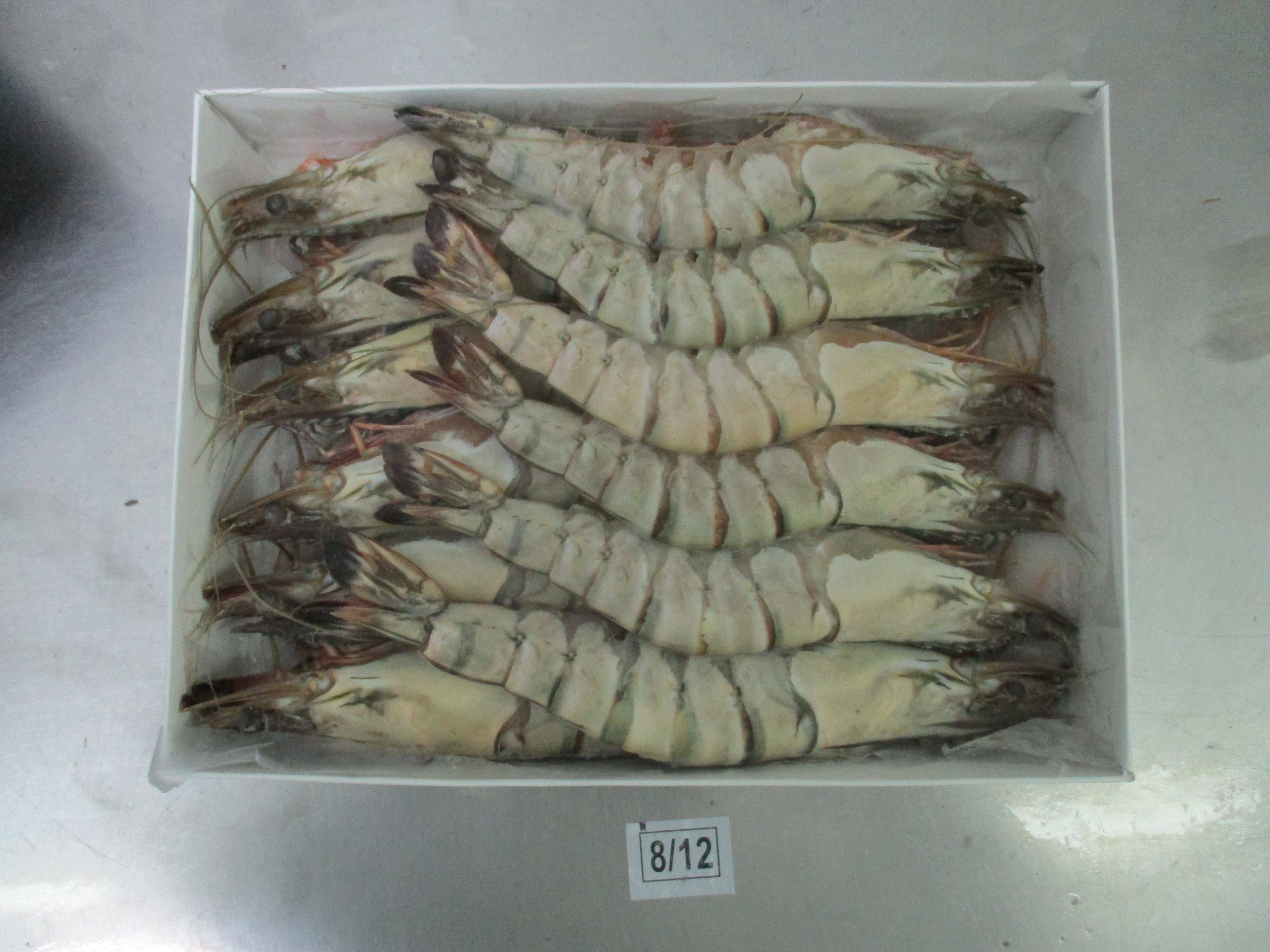 Fresh seafood presentation